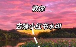 小红书收藏清除教程