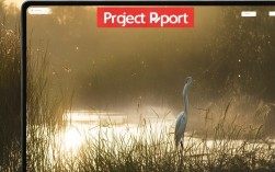 白鹭新建项目报错频发，究竟是什么原因导致？解决方法详解！