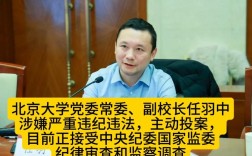 北大副校长任羽中被调查，官方证实