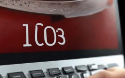 mac报错1003怎么办，mac报错1003