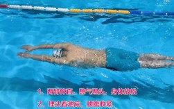 游泳视频剪辑技巧解析