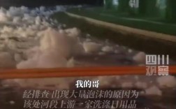 沈阳河流泡沫事件，官方立案调查