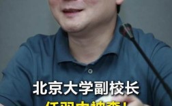 北京大学副校长任羽中被查，学校官方回应