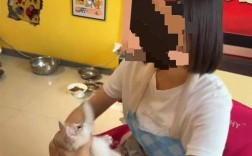猫咖虐猫悲剧，女子包房内致4猫死伤引关注