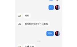 审查标准解读