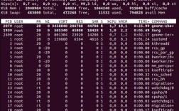 如何在Linux系统中查看内存使用情况？