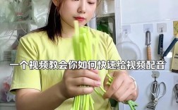 视频剪辑中真人配音技巧解析