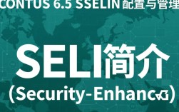CentOS 6.5 系统中SELinux配置与管理指南