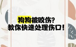 狗狗咬痕特效视频剪辑全攻略
