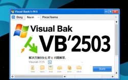 VB安装错误2503，解决方法与排查指南