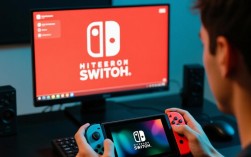 Nintendo Switch游戏错误代码排查与解决指南