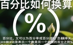 百分比换算中，如何精确将数值转换为百分比表示？