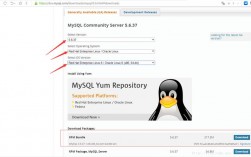 centos安装mysql5.6