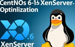 CentOS 6 在 Xenserver 上运行时遇到的问题，你能解答吗？