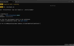 Vue项目下载失败，排查与修复指南