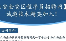 六安金安区程序员招聘网，如何找到合适的工作机会？