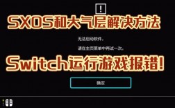 Switch 报错时，我该如何快速有效地解决问题？