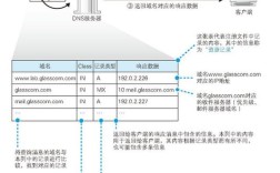 文艺风，探寻网络连接之道，究竟如何连网？，网络连接的奥秘，我们该如何连网呢？，幽默风，嘿！到底咋才能顺利连上网呀？，连网这事儿，难道真的这么难搞定吗？该咋连啊？，正式风，关于网络连接，具体应如何操作连网？，网络连接方法探究，怎样实现有效连网？