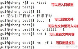 如何正确设置CentOS系统中文件夹的权限？