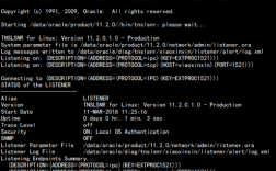 如何在CentOS 6.5上安装Oracle 11g？