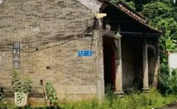 广东录像厅杀人案凶手被判死刑，正义得以伸张