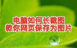 如何轻松在电脑上保存图片？