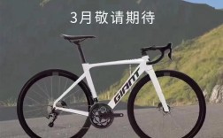 Vultr CentOS服务器SSR配置指南