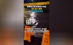 夏威夷遭海啸侵袭，城镇街道被海水淹没