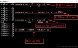 如何优化CentOS 7上的SSH连接性能？