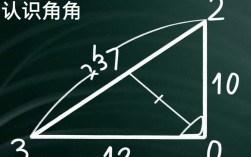 如何轻松掌握数角个数的方法与技巧，避免常见误区？