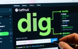 在CentOS上部署dig命令