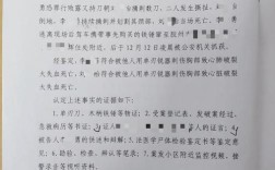 成都特斯拉碾压幼童案二审维持原判，二审判决结果出炉