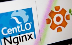 CentOS Nginx启动故障排查指南