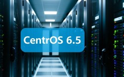 在CentOS 6.5系统下扩展磁盘空间指南