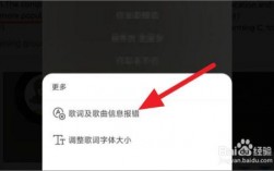 网易云音乐的歌词显示出现了哪些问题？