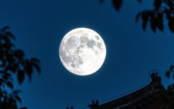 月圆十六夜，团圆情意浓