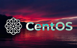 如何在CentOS 6.5上使用YUM进行软件包管理？