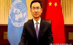 假冒联合国外交官身份男子被捕调查