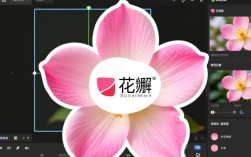 如何高效使用花瓣剪辑技巧，让视频画面中花瓣铺满整个屏幕？