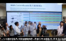 鲁泰招聘程序员，薪资待遇如何？职业发展前景怎么样？