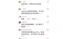 iPad报错怎么办？如何解决？