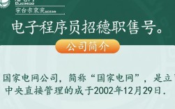 国家电网电子程序员招聘，这样的职位要求有哪些？薪资待遇如何？