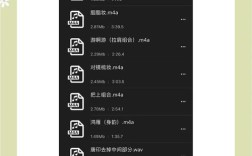 手机视频剪辑教程，轻松添加伴奏步骤