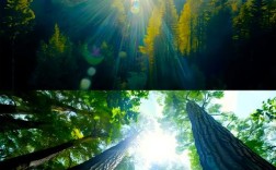 阳光映照下的视频剪辑艺术，如何利用照片制作视频