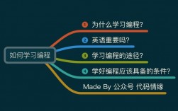 编程入门，掌握这些技巧，你也能成为编程高手吗？