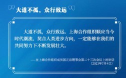 解码上合组织发展壮大之路