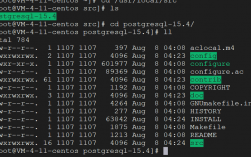 如何在 CentOS 上成功安装 PostgreSQL?