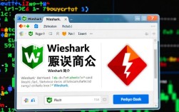 Wireshark打开文件错误处理指南