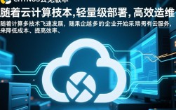 CentOS云免版，轻量级云服务器解决方案