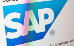 SAP报错消息查询难题？30字揭秘高效解决之道！